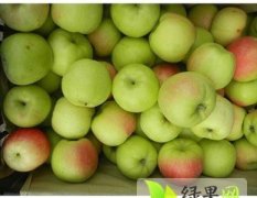 2017清丰苹果 自家果园直采，没有中间经济