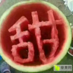 凌海市右卫镇万亩优质大棚西瓜6月初