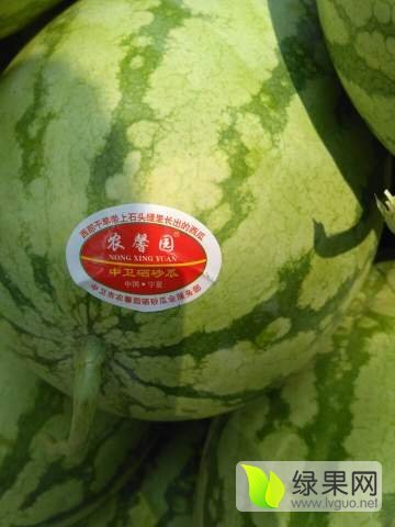 冠龙价格