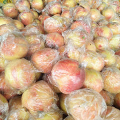 临猗蜜桃 超越桃作为山西毛桃的最后一个品种