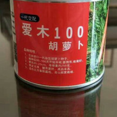 日本胡萝卜种子爱木100进口品种
