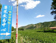 2017围场土豆皮淡黄肉鲜黄色，淀粉含量高