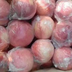 山西万荣超越桃秦王蜜桃香甜可口大量上市