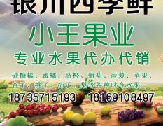 宁夏四季鲜农产品综合批发市场