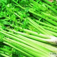 张家口万全区芹菜基地大量上市，现货供应