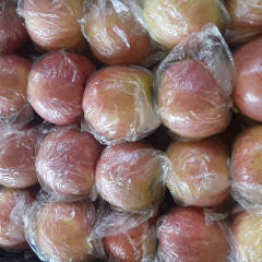 河北省唐山市乐亭县噶啦美八苹果