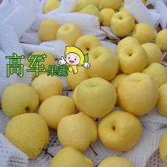 陕西蒲城贡梨摸袋撕袋套网冷库梨销售火爆