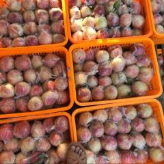 大荔县东方瓜果信息专业合作社 阿布白桃