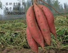 宜城南营蔡玉林8月龙署九号红薯 0.75/斤