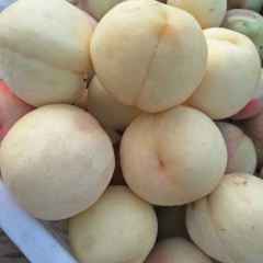 通许大量水密纸袋蜜桃2.2元