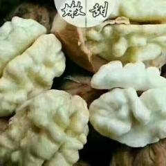 甘肃庆阳宁县脱皮核桃每市斤5--6元