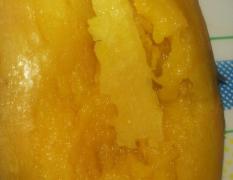 安次红薯自家种植，每年不低于300亩