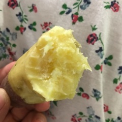 陕西临潼北田杨博9月秦薯四号红薯