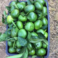 湖南东江湖，宫本（特早）普早发布通知！！