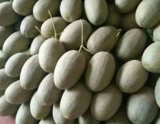 寿光西州蜜大量上市，口感脆甜