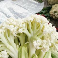 徐州沛张李庄有机花菜基地白面青梗松花菜