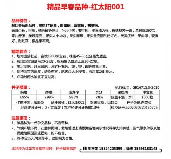 2017年辽宁新民红太阳价格