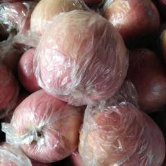 两宜镇常年 代办 各种 水果