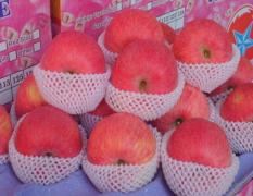 淳化十里水果篮子2月红富士苹果