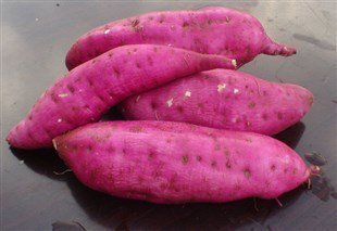 2017凌海红薯龙薯九号、里外红