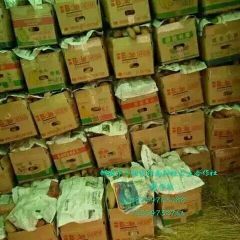 邹城万亩地瓜马上上市了，敬请提前预约