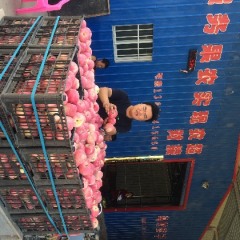 运城临猗北辛王杰9月红星苹果