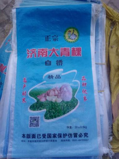 2017年山东商河大蒜价格