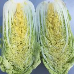 万全基地供应娃娃菜，量大从优