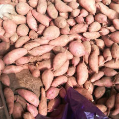 开封市开封县范村乡的一家农资集散地