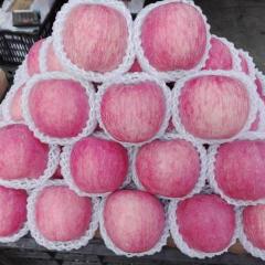 东莞下桥水果批发市场苹果交易区