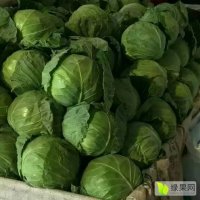 河北永年市场大量供应，甘蓝，菜花
