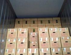 东莞市长征果品贸易有限公司水果代销批发配送