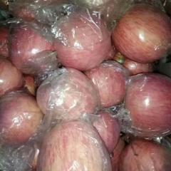 山西万荣临猗纸夹膜红富士和膜袋红富士大量上