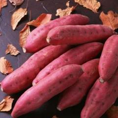 山东平度龙署九号红薯何去何从