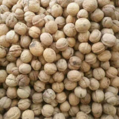 2019大荔核桃 干核桃价格核桃产地