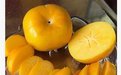 安徽省砀山柿子基地出售优质柿子