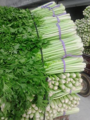 2017年山东沂南皇妃芹菜价格