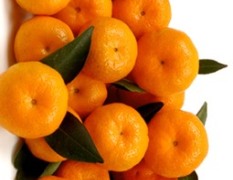 兴安柑橘价格 老邹  多年代办柑橘经验