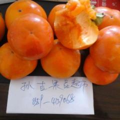 临猗县是山西省最大的优质水果基地