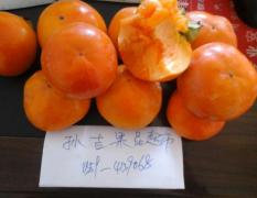 临猗县是山西省最大的优质水果基地