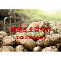 黑龙江讷河市脱毒马铃薯主产区