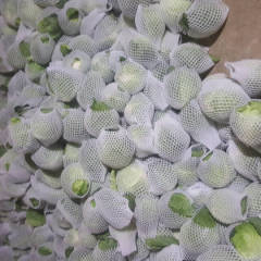 昌黎为全国各地客商供应季节水果蔬菜