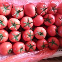 禹城是德州地区最大的西红柿种植基地