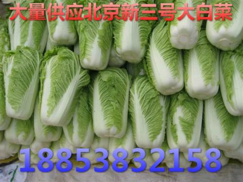 2017年山东肥城北京新三号价格