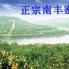 2017年江西南丰橘子价格