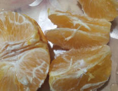 东坡柑橘纯甜耐运，多年种植货源广