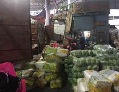 广州江南市场自有档口长期代销全国各地蔬菜