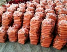 安徽省萧县是全国著名的胡萝卜种植基地