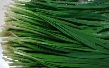 尉氏韭菜逐渐升温庄头张新义诚信合作