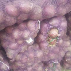 朔城洋葱 常年代办各类蔬菜，经验丰富